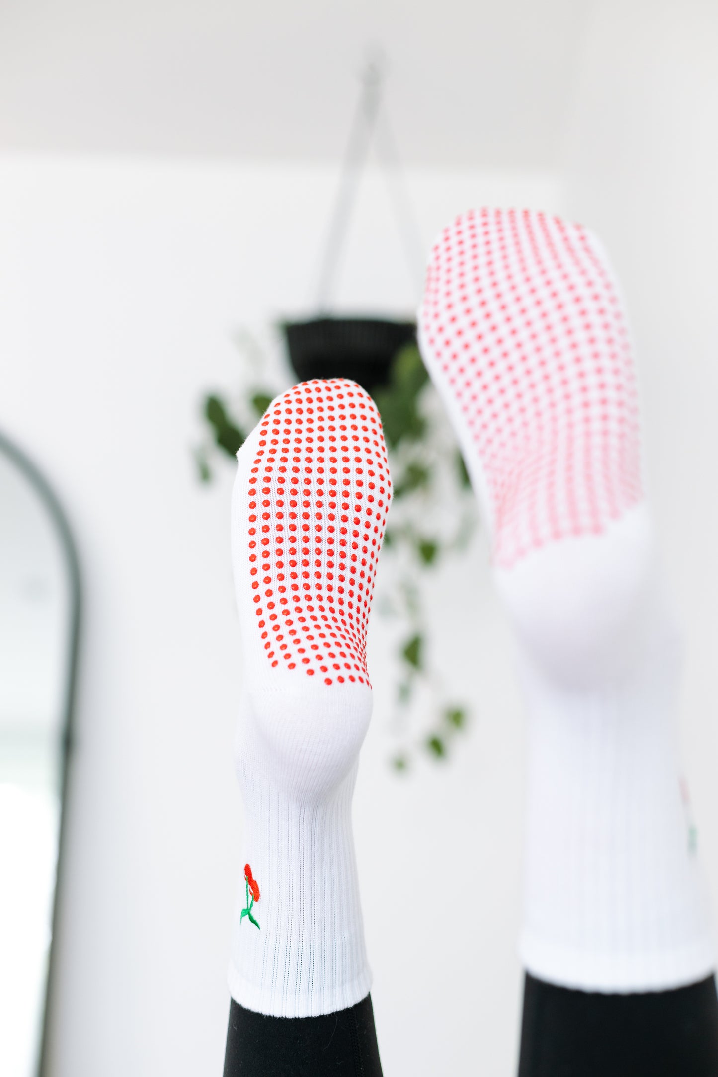 'Cherry on Top' Crew Socks - White